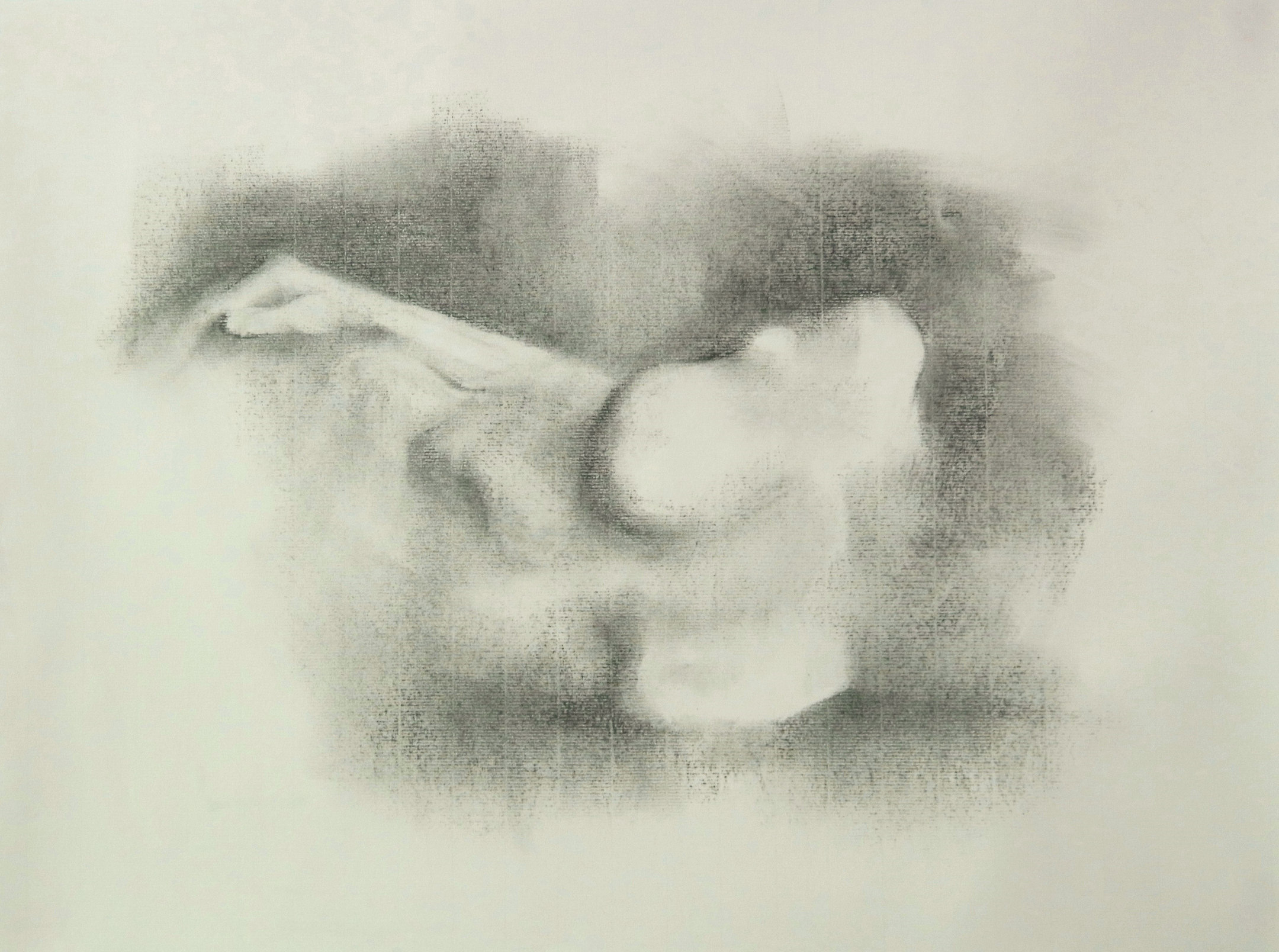 Untitled &mdash; Jasmin Harell